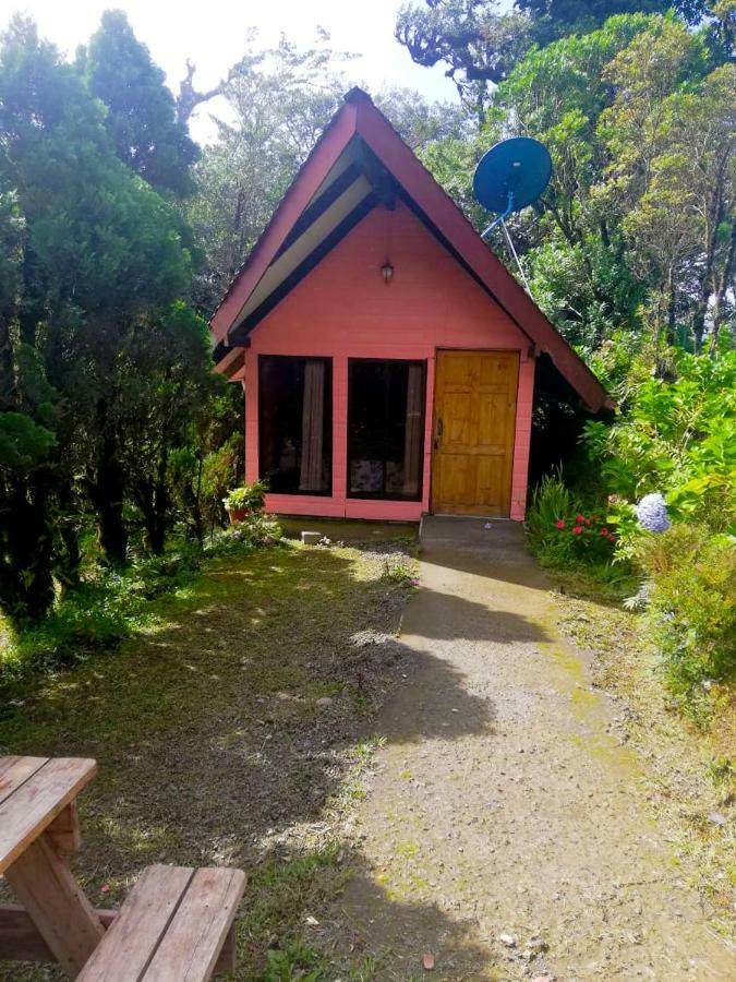 Cabanas Las Orquideas Zapotal  Pokój zdjęcie