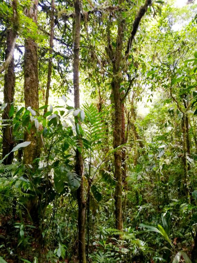 Cabanas Las Orquideas Zapotal  Zewnętrze zdjęcie