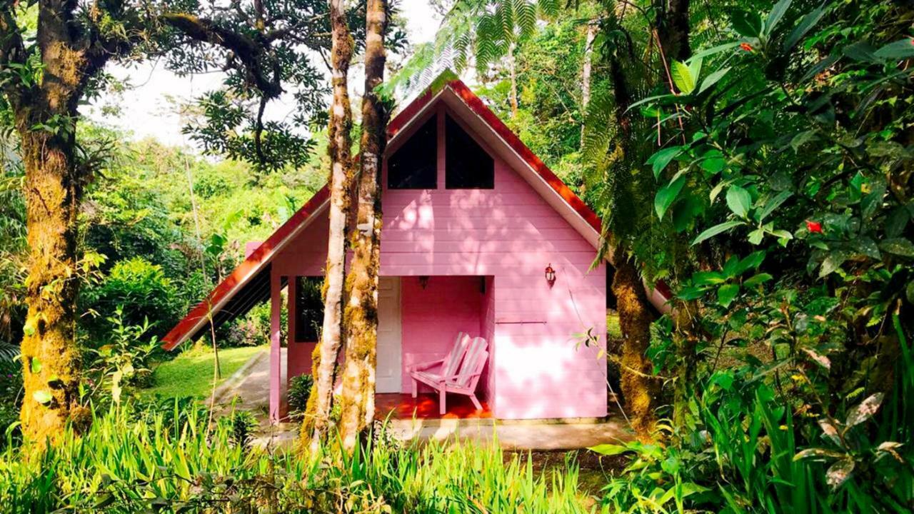 Cabanas Las Orquideas Zapotal  Zewnętrze zdjęcie