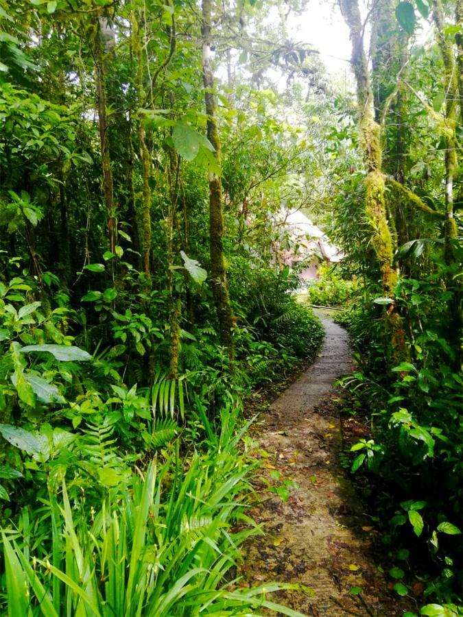 Cabanas Las Orquideas Zapotal  Zewnętrze zdjęcie
