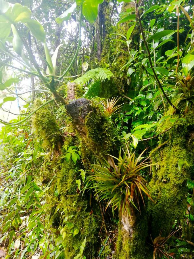 Cabanas Las Orquideas Zapotal  Zewnętrze zdjęcie