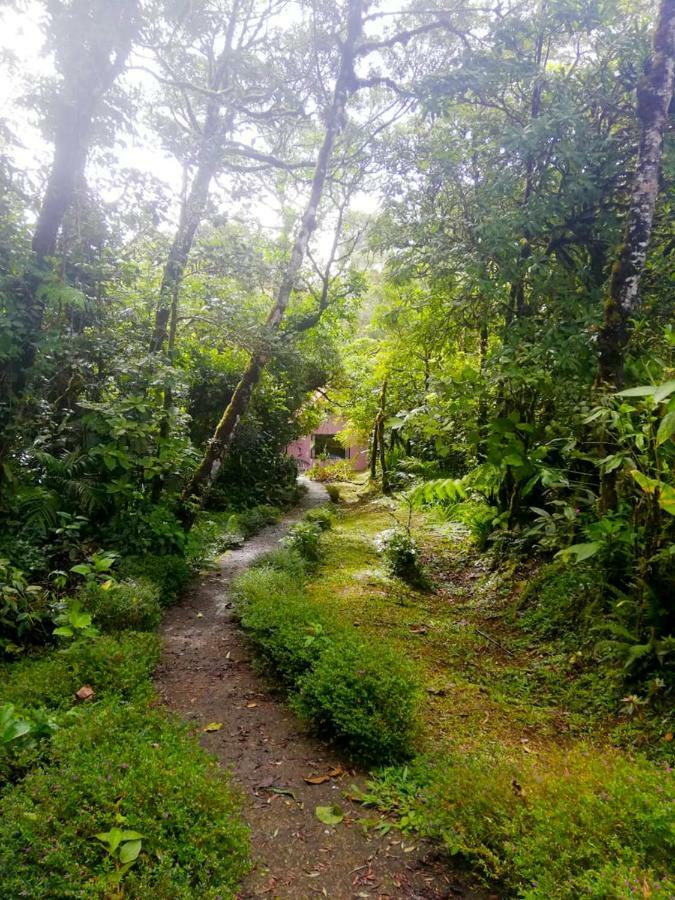 Cabanas Las Orquideas Zapotal  Zewnętrze zdjęcie