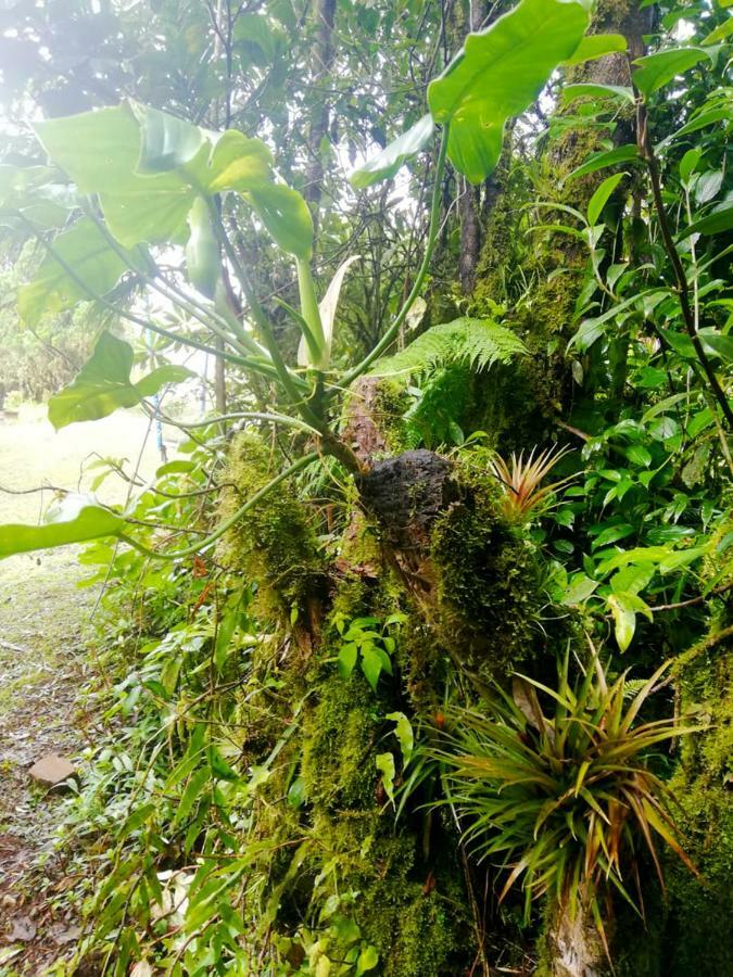 Cabanas Las Orquideas Zapotal  Zewnętrze zdjęcie