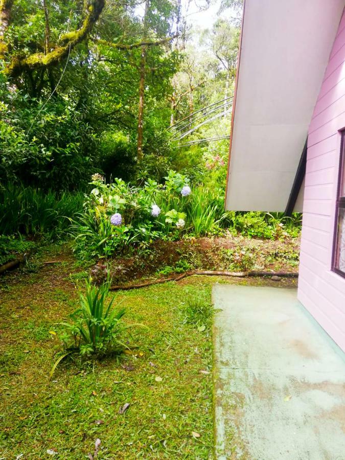 Cabanas Las Orquideas Zapotal  Zewnętrze zdjęcie